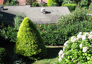 Blick durch den Garten