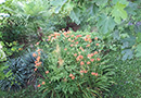 Leuchtende Farben